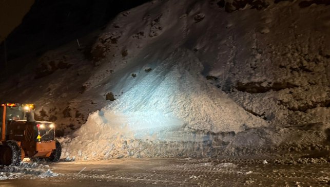 Van-Bitlis kara yolu çığ düşmesi sonucu ulaşıma kapandı 