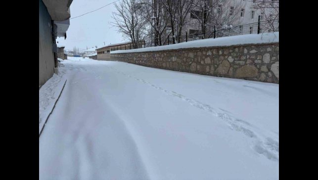 Diyadin'de yoğun kar yağışı hayatı olumsuz etkiliyor