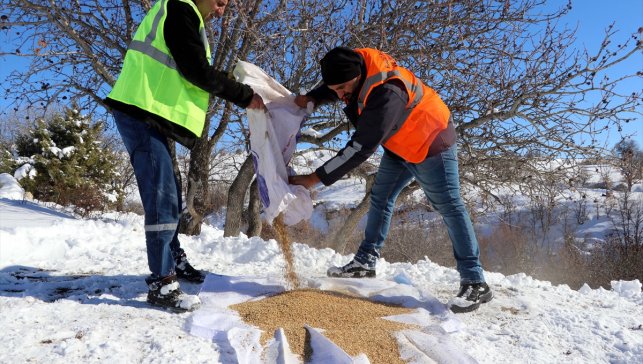 İş makinesi karlı yolları açıyor, ekipler sahipsiz hayvanları besliyor 