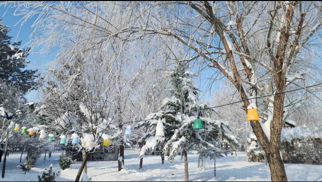 Elazığ'da dondurucu soğuklar: Karakoçan'da termometreler -22'yi gösterdi
