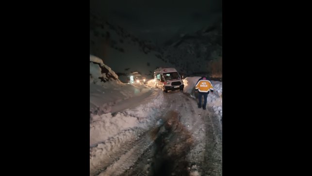 Hakkari'de sobadan sızan gazdan etkilenen 12 kişi hastaneye kaldırıldı
