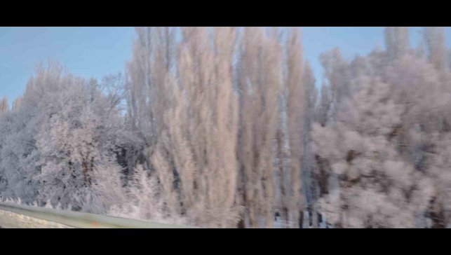 Aşkale'de Sibirya soğukları: Termometreler -30'u gösterdi