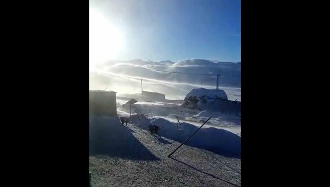 Iğdır'ın yüksek kesimlerinde tipi ve fırtına hayatı olumsuz etkiliyor