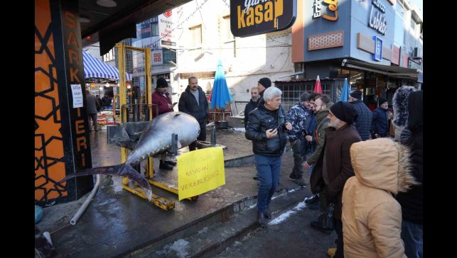 Dev Orkinos Erzincan'da olay oldu! Tezgâh önünde fotoğraf yarışı