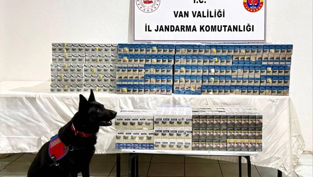 Van'da 8 bin 200 paket gümrük kaçağı sigara ele geçirildi