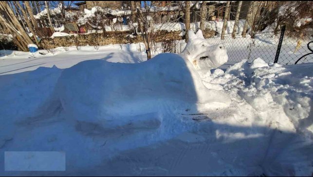 Hakkarili gençten kardan kangal köpeği figürü