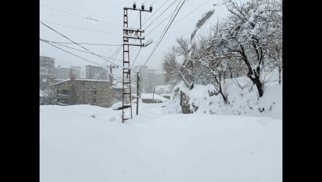 Hakkari'de 89 yerleşim yerinin yolu kapandı
