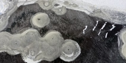 Iğdır'da kuşlara ev sahipliği yapan sulak alanlar dondu