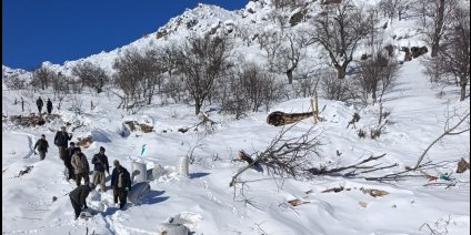 Ahırların üzerine çığ düştü, küçükbaş hayvanlar telef oldu