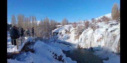 Muradiye Şelalesi buz tuttu