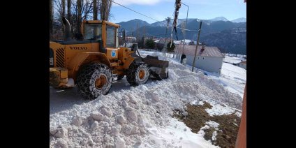 Posof'ta karla mücadele çalışmaları başladı