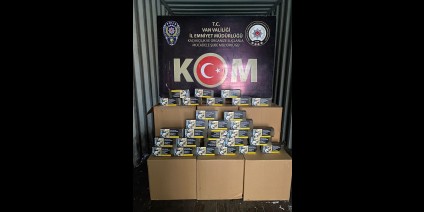 Van'da kaçakçılık operasyonlarında 7 şüpheli yakında işlem yapıldı