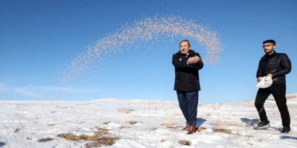 Malatya'da yaban hayvanları için doğaya yem bırakıldı