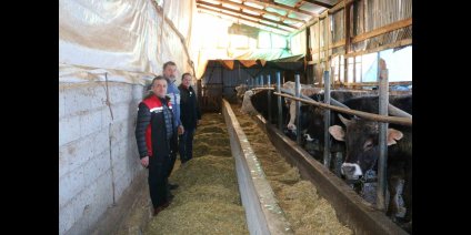 Erzincan'da aile hayvancılık işletmeleri ziyaret edildi