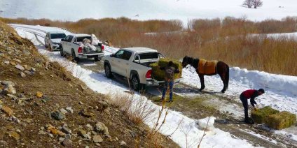 Uzman uyardı: Yaban hayvanlarına bırakılan yiyecekler sanılandan daha büyük zarar veriyor