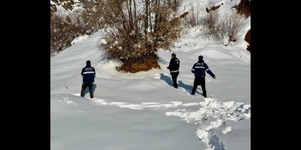 Mutki Belediyesi zorlu kış şartlarında yaban hayatını unutmadı