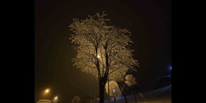 Elazığ'da ağaçlar kırağı tuttu