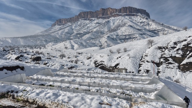 Hakkari'de kar nedeniyle seralar çöktü