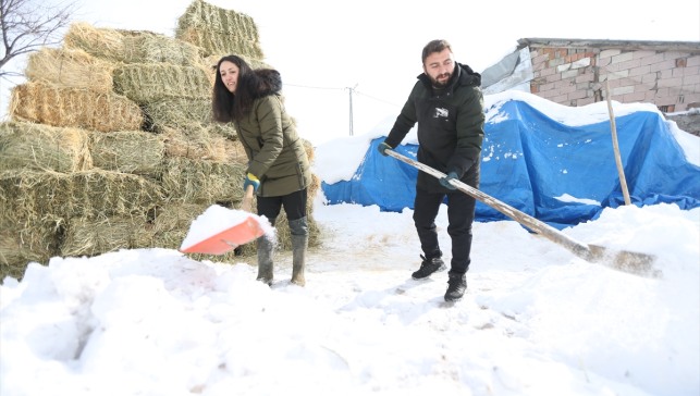 Kars'ta girişimci kadın devlet desteğiyle hayalini gerçekleştirip çiftlik kurdu