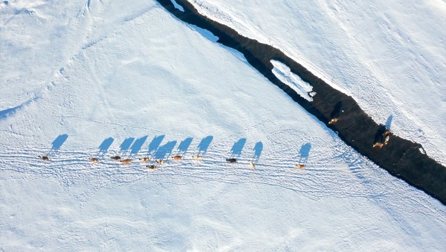 Kars'ta köylerden geçen menderesler hayvancılığa can suyu oluyor