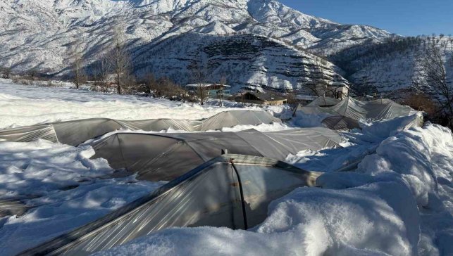 Derecik'te kardan dolayı 38 sera zara gördü