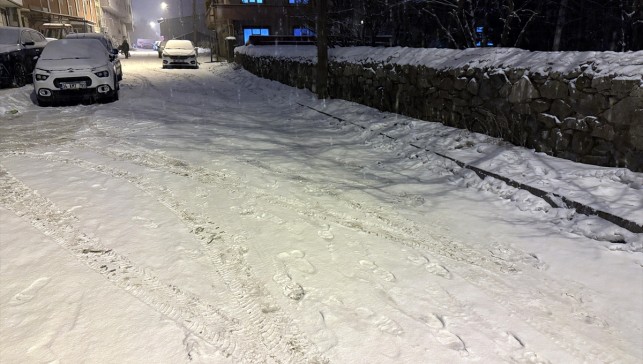 Ardahan ve Kars'ta kar yağışı etkili oldu