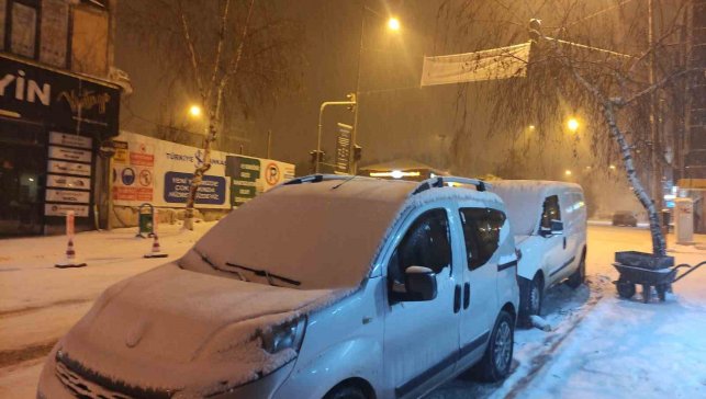 Ardahan'da kar yağışı etkili oldu