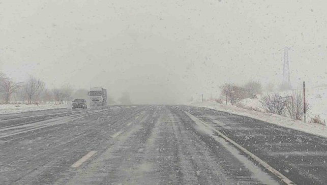 Kar yağışı Van-Bitlis yolunda etkili oluyor