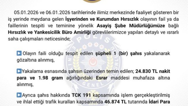 Bingöl'de hırsızlık yapan şüpheli tutuklandı