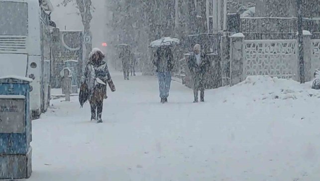 Van'da lapa lapa kar yağdı: 405 yerleşim yerinin yolu kapalı