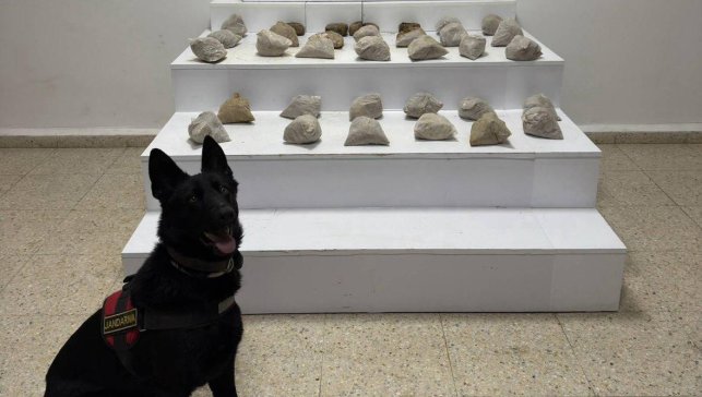 Van'da 24 kilo eroin ele geçirildi