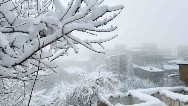 Hakkari'de kar afeti: Ekipler aralıksız çalışıyor