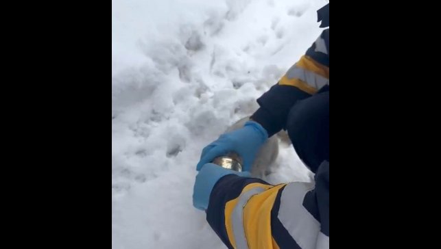 Elazığ’ın Alacakaya ilçesinde başı konserve tenekesine sıkışan kedi kurtarıldı