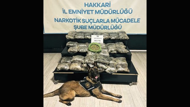 Yüksekova'da 30 kilo Skunk ele geçirildi: 2 şüpheli gözaltında