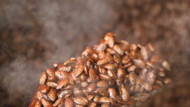 Gelenekten yeniliğe: Türk kahveli badem şekeri