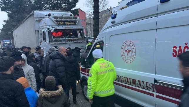 Tatvan'da tırın çarpması sonucu bir kişi hayatını kaybetti