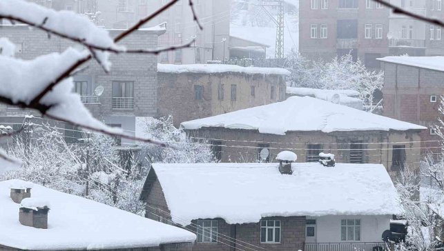 Hakkari'de 160 yerleşim yolu ulaşıma kapandı