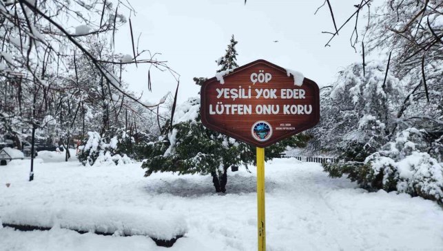 Tunceli'de yoğun kar yağışı etkili oldu