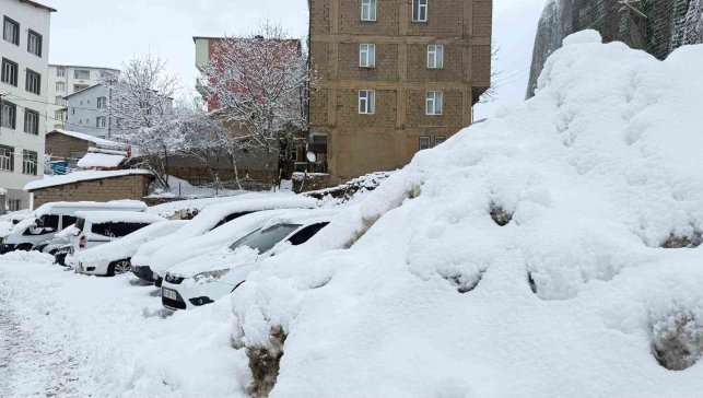 Hakkari'de 223 yerleşim yerinin yolu ulaşıma kapandı