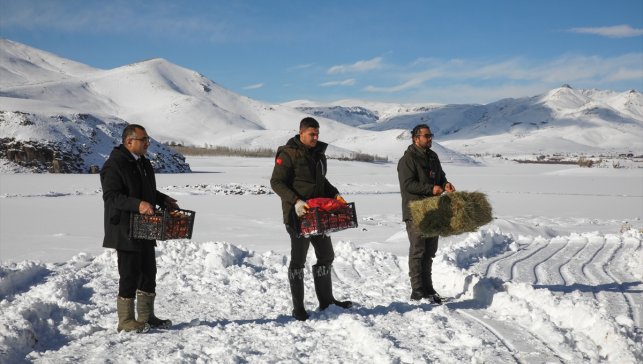 Van'da yaban hayvanları için doğaya yem bırakıldı