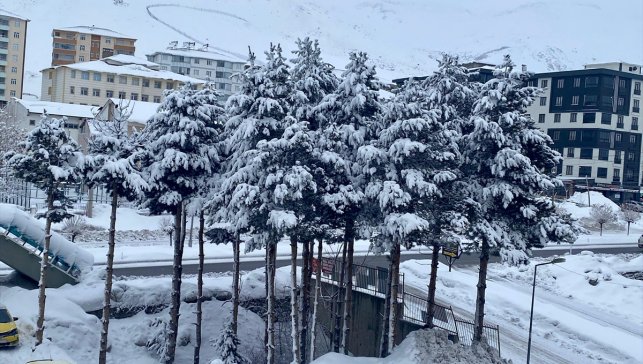 Van, Hakkari, Bitlis ve Muş'ta 1012 yerleşim yerine ulaşım sağlanamıyor