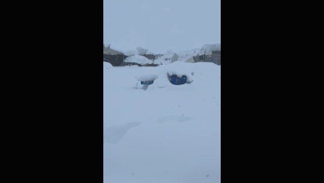Tunceli'de kar yüküne dayanamayan iş yerinin çatısı çöktü
