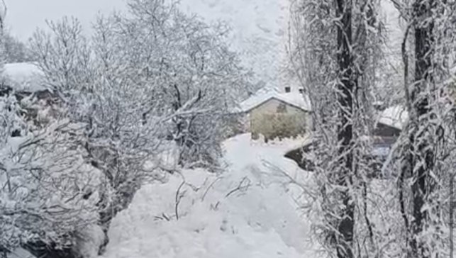Yüksekova'da çığ yerleşim yerine indi: Facianın eşiğinden dönüldü