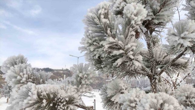 Ardahan'da dondurucu soğuklar etkili oldu