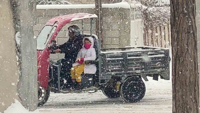 Van'da kar yağışı etkili oluyor