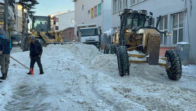 Sarıkamış'ta kar seferberliği: İlçe merkezinden 600 kamyon kar taşındı