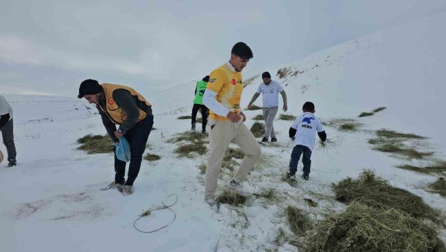 Adilcevaz'da yaban hayvanları unutulmadı: Aktivistlerden Süphan Dağı eteğine yem bıraktı
