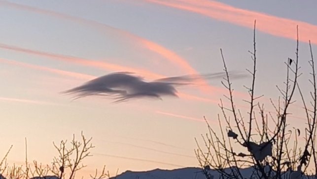 Yüksekova'da gökyüzünde doğa şöleni: Bir bulut onlarca silüet