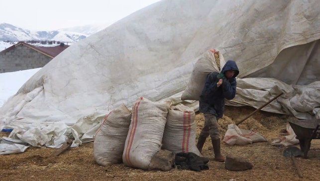 Tatvan'da yayladan besiye dönüş