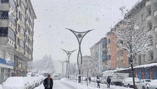 Van, Hakkari, Bitlis ve Muş'ta 289 yerleşim yerine ulaşım sağlanamıyor